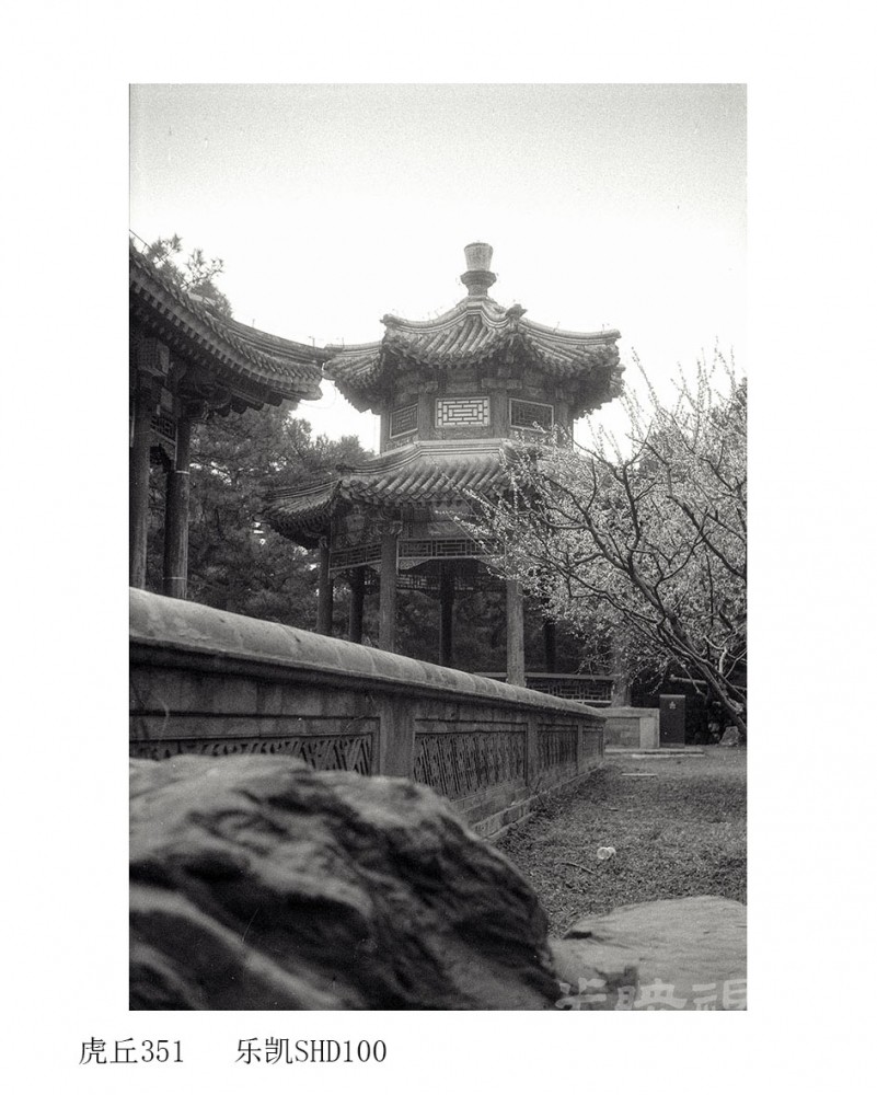 Untitled (16).jpg