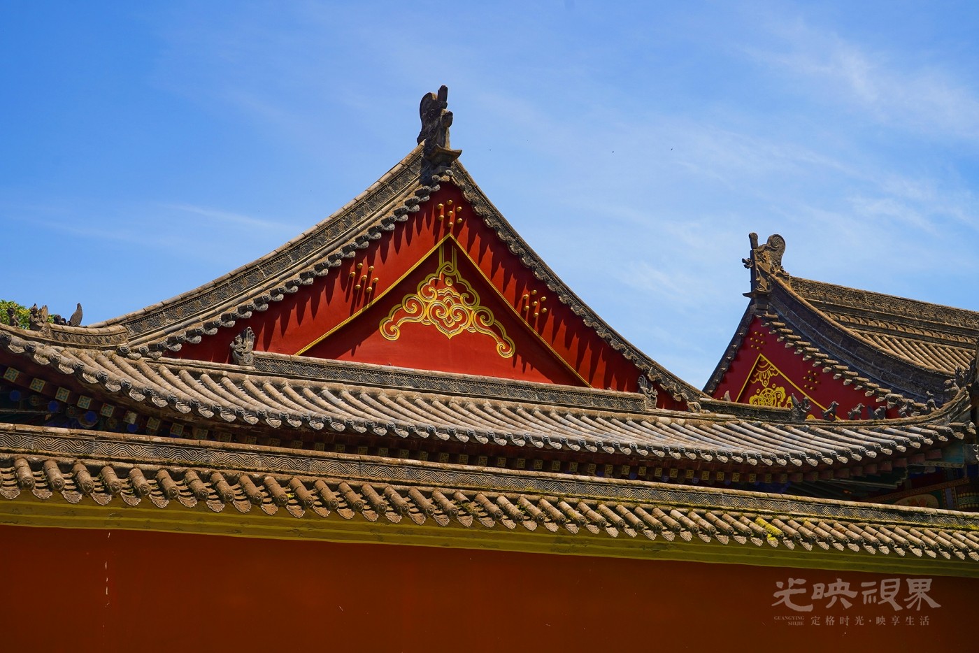DXA01624.jpg