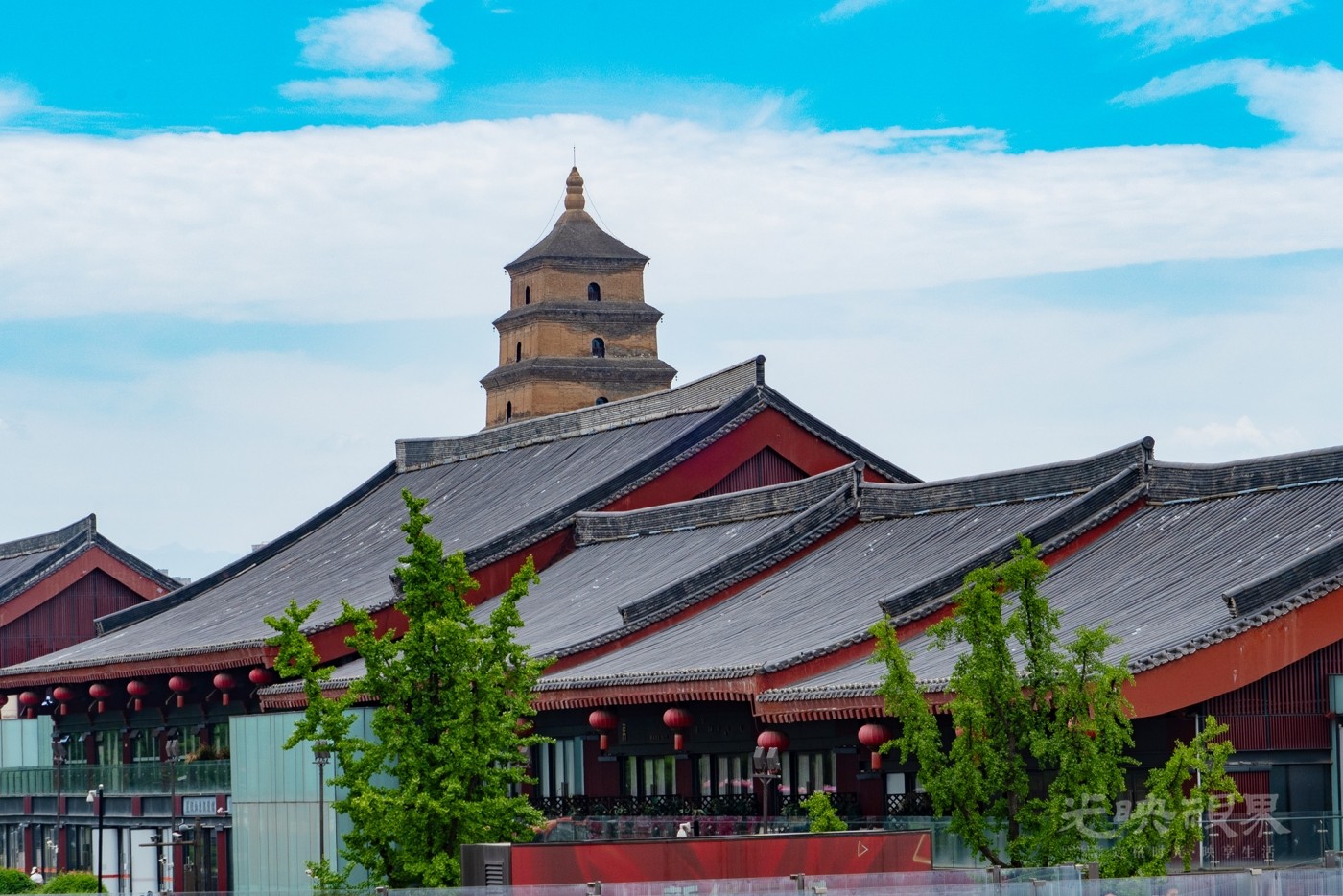 DXA02174.jpg