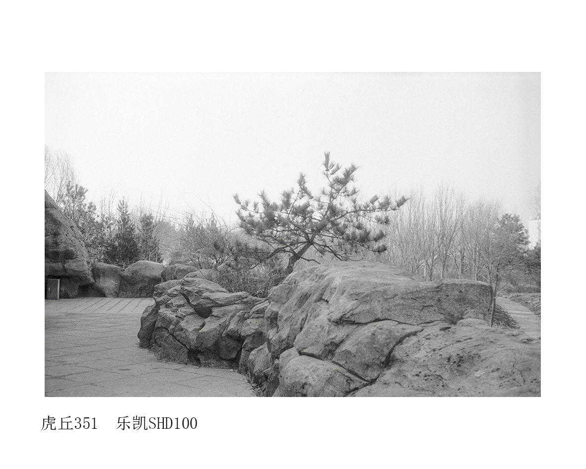 Untitled (33).jpg