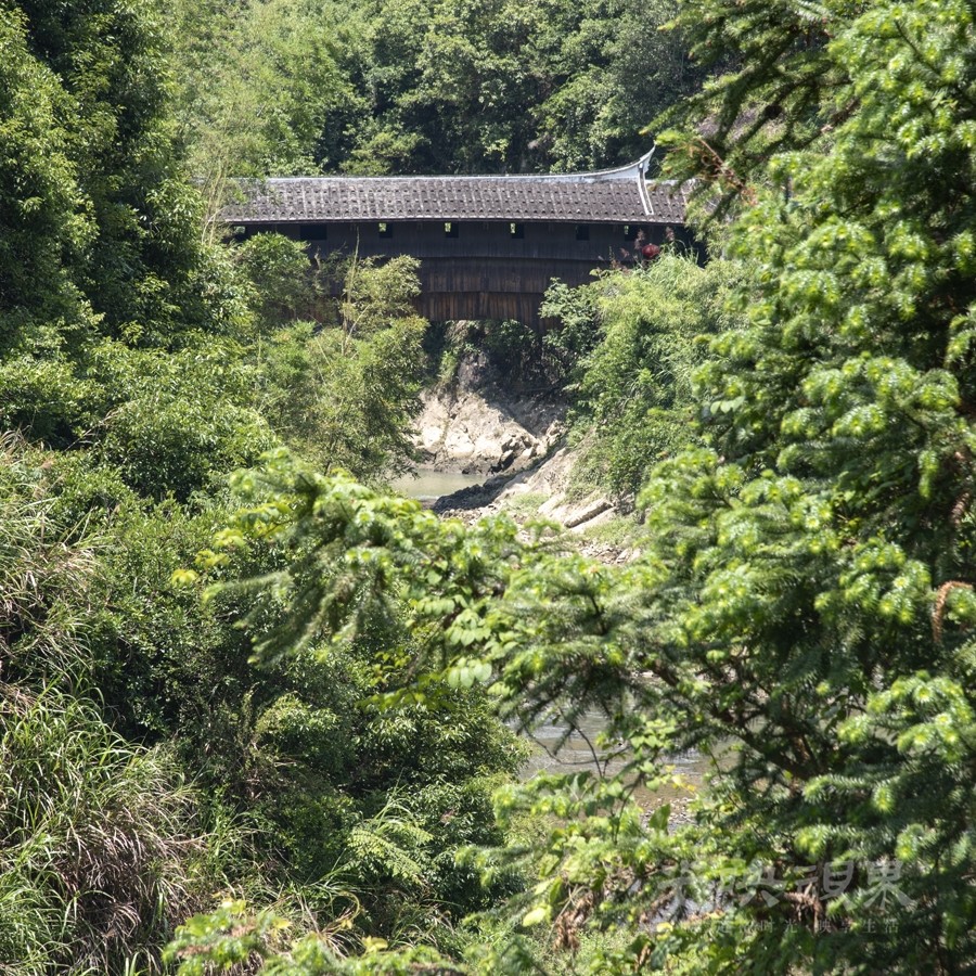 龙津桥001900.jpg