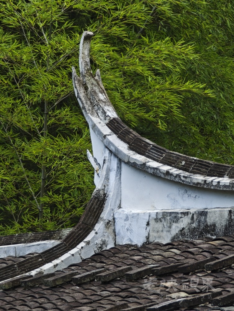 龙津桥0091024.jpg