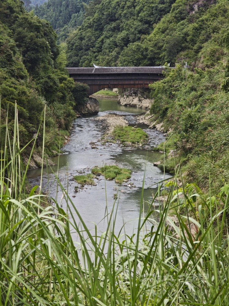 龙津桥00101024.jpg