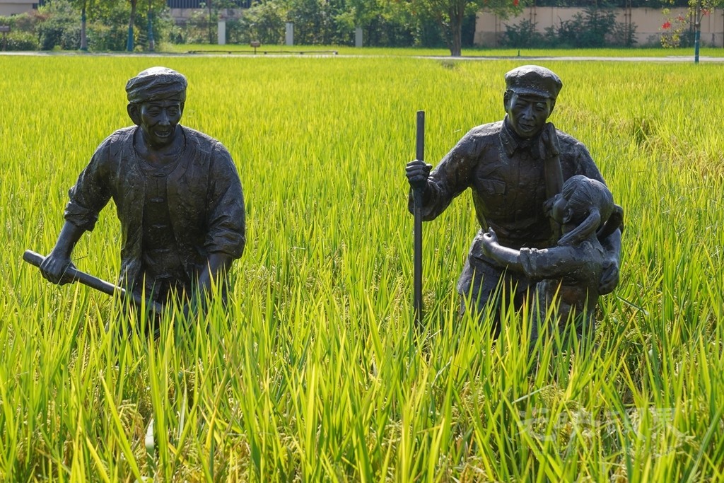 DSC04223_副本_副本.jpg