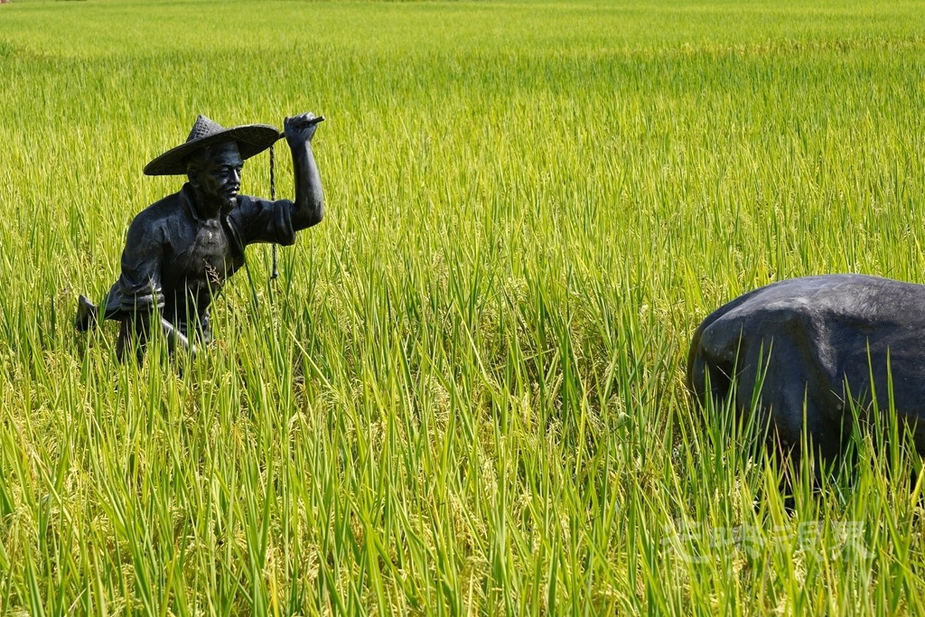 DSC04212_副本_副本.jpg
