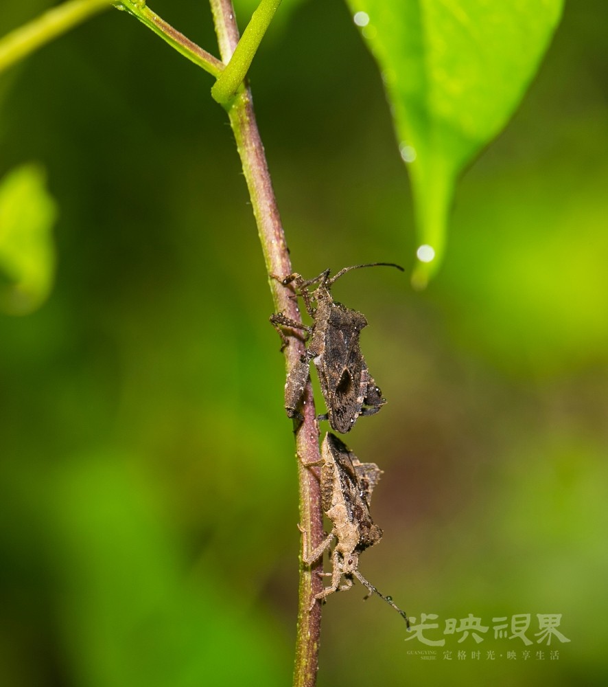 DX1_0119.jpg