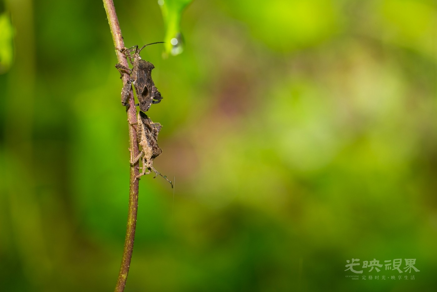 DX1_0135.jpg