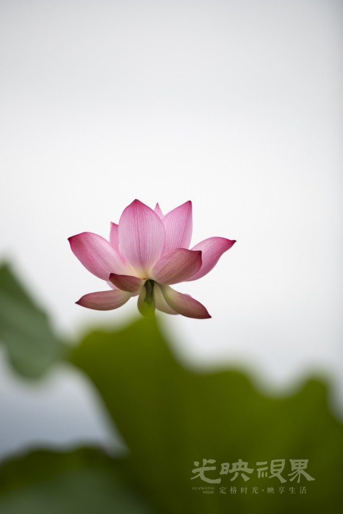 _DSC0806_1.JPG
