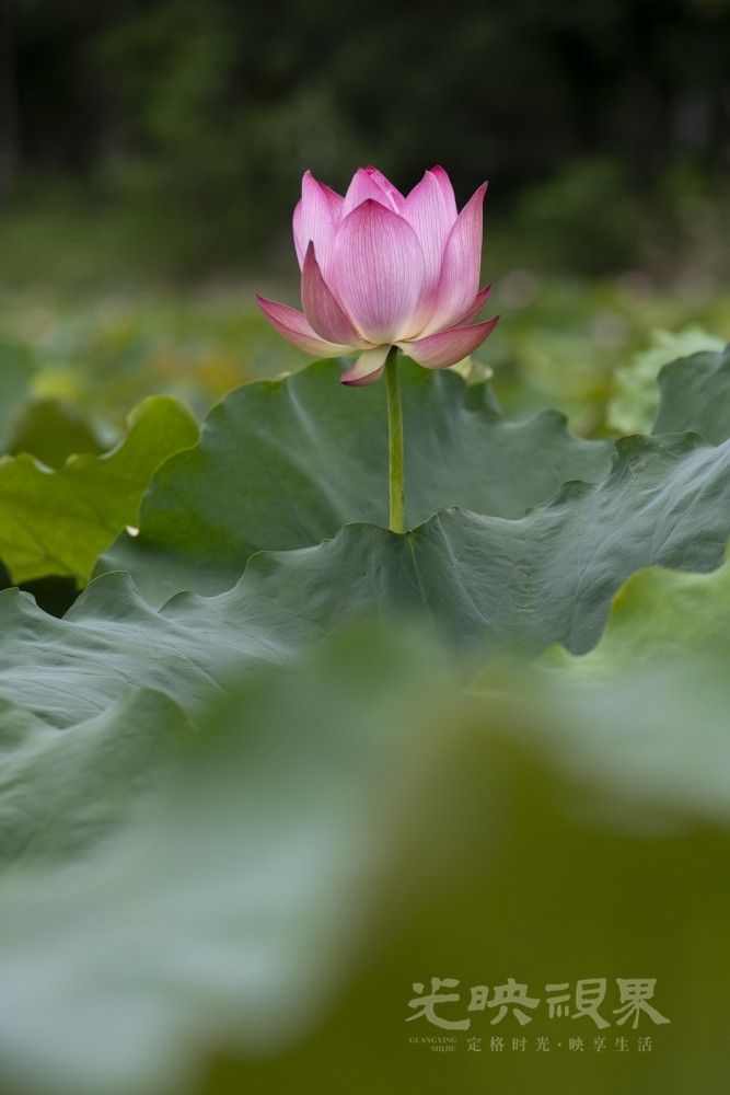 _DSC0846_1.JPG