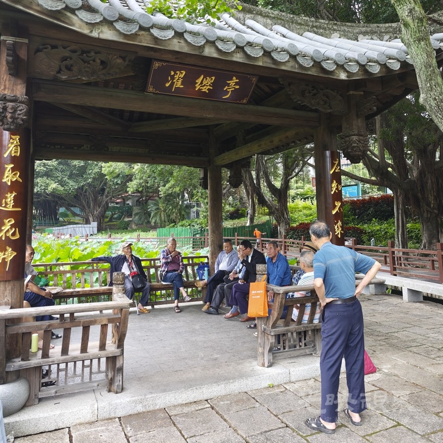 荷塘悦色02900.jpg