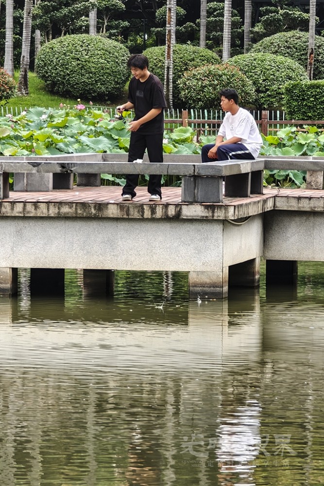 荷塘悦色041024.jpg