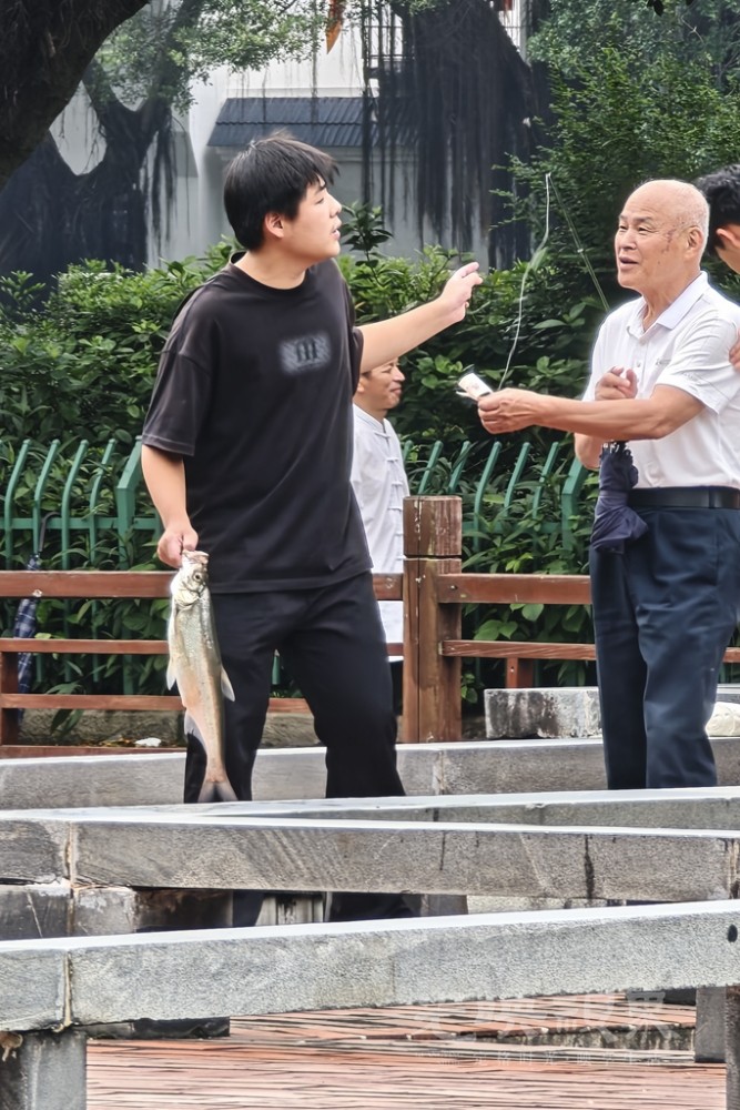 荷塘悦色0051024.jpg