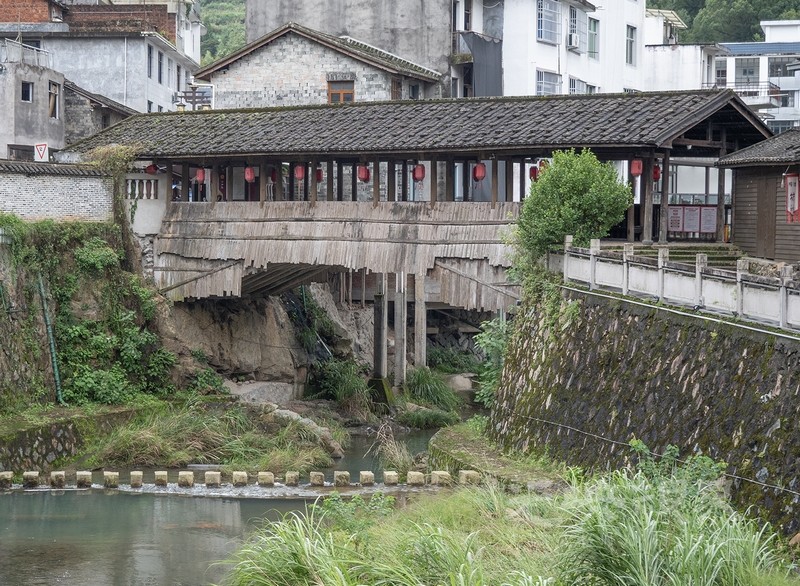 P1078839.jpg