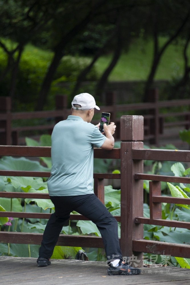 拍荷1024.jpg