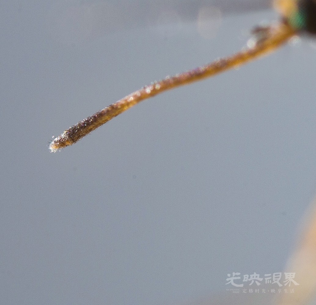 DX1_0225 拷贝.jpg