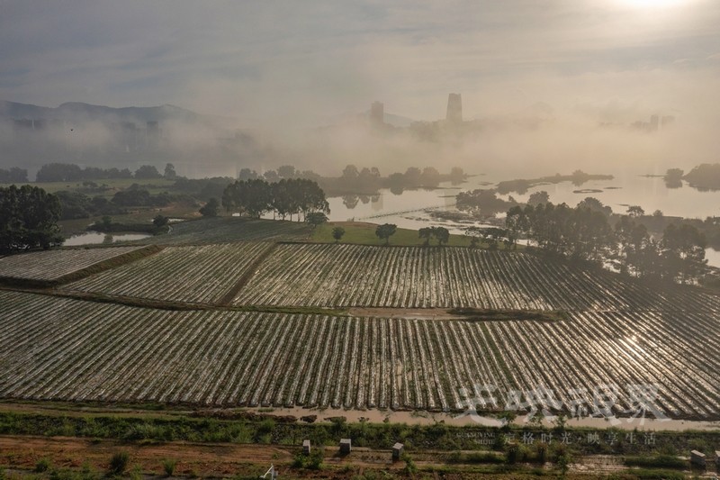 DJI_0648.jpg