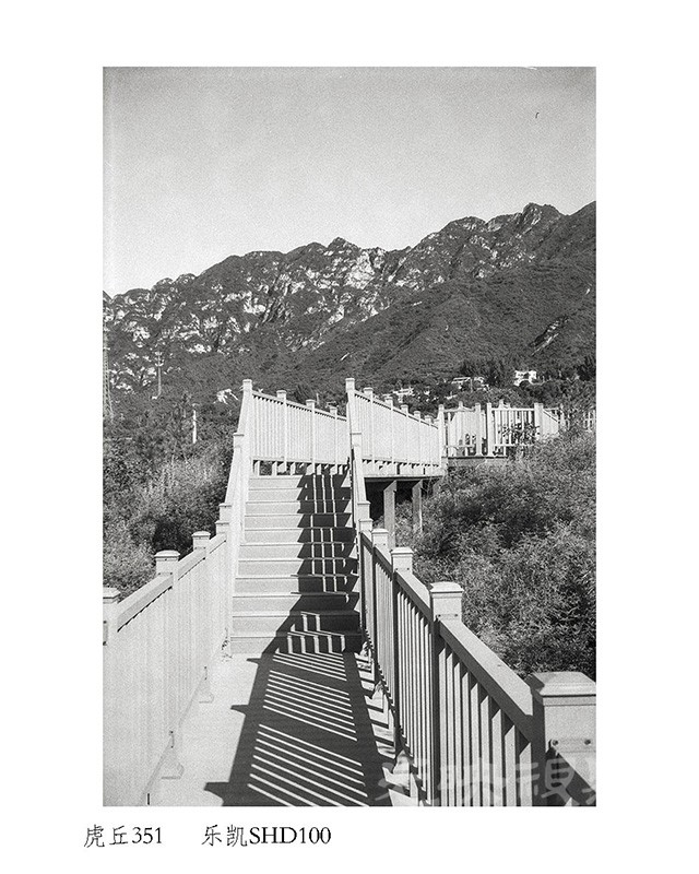 Untitled (9).jpg