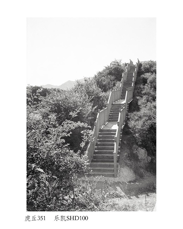 Untitled (12).jpg