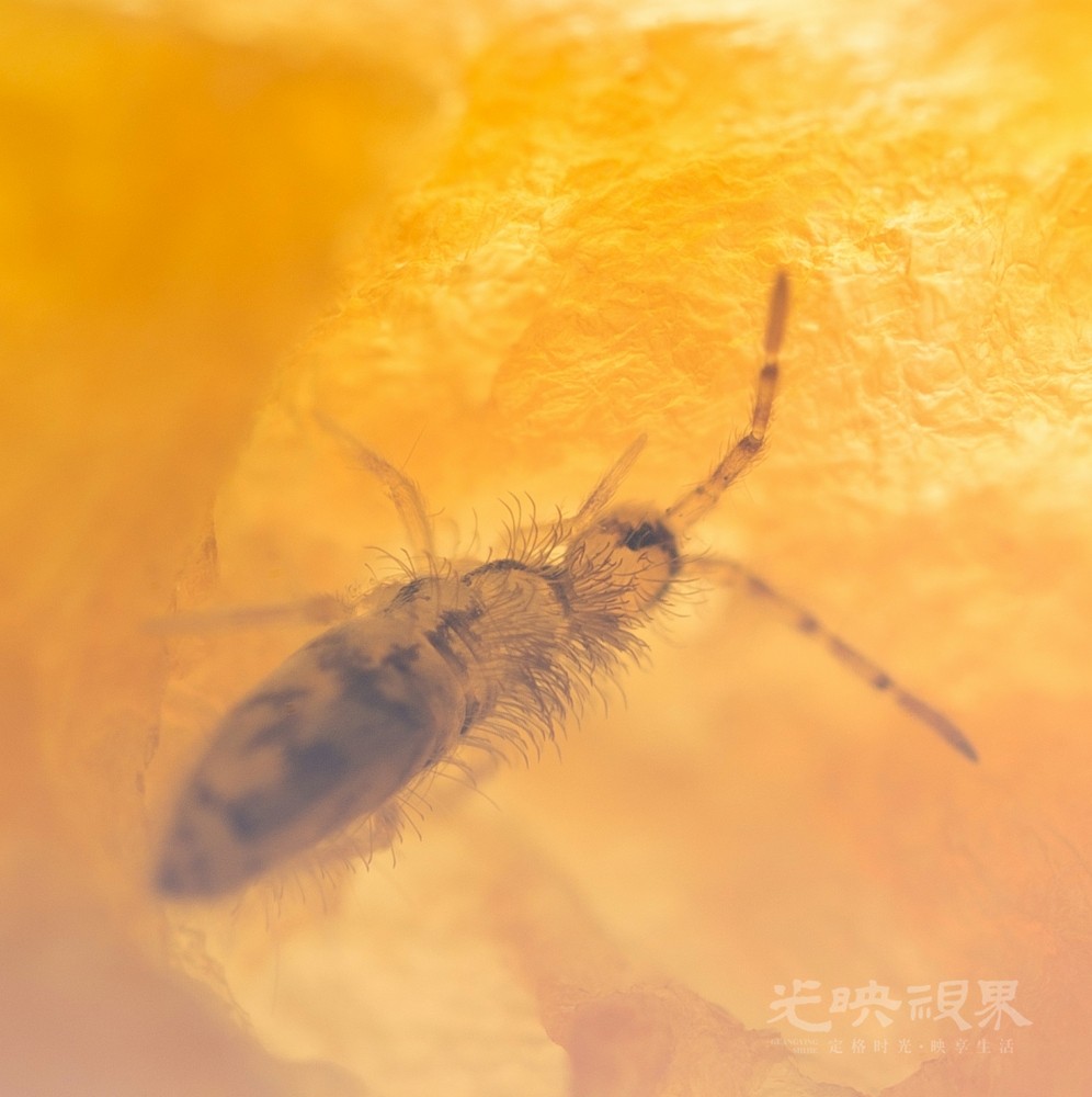 DX1_0653.jpg