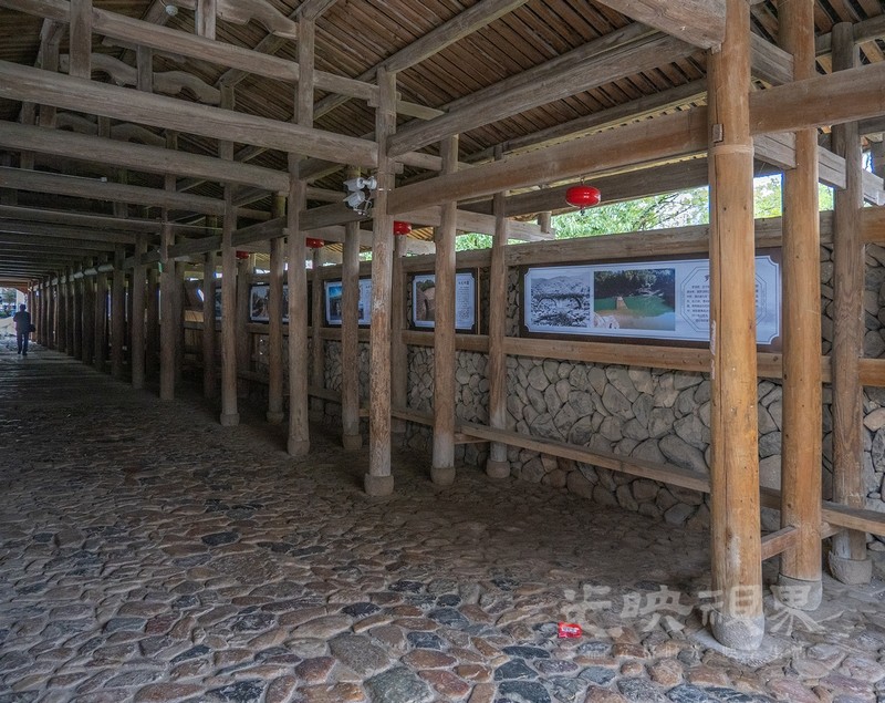 P1078801.jpg