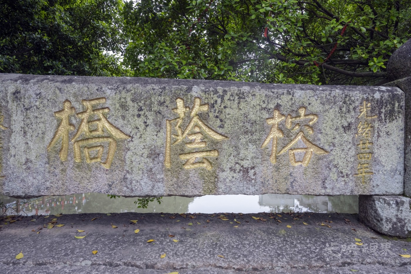 DSC_1630_1.JPG