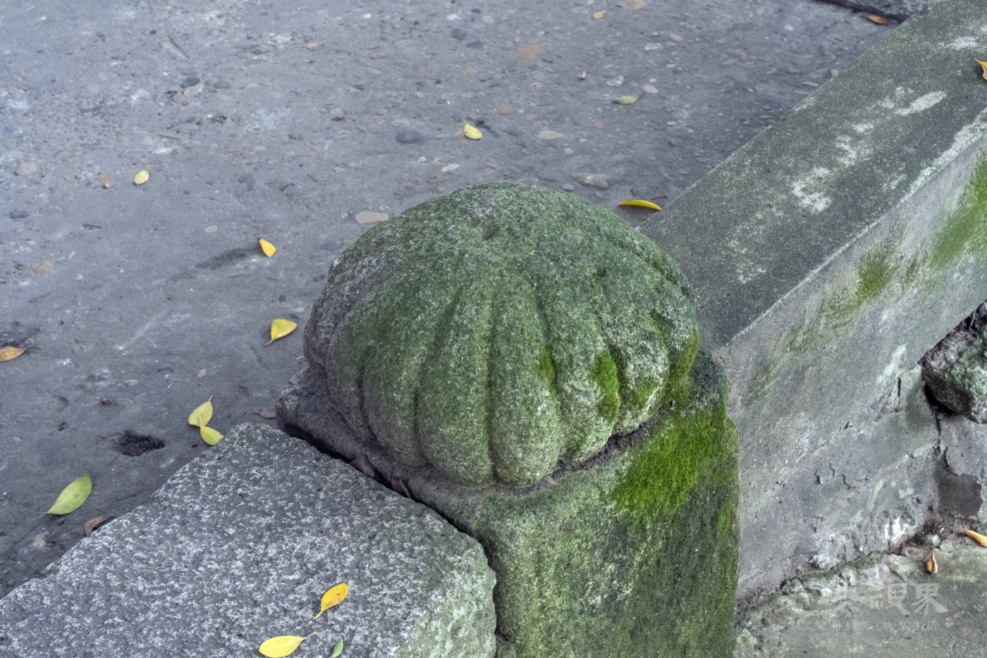DSC_1616_1.JPG
