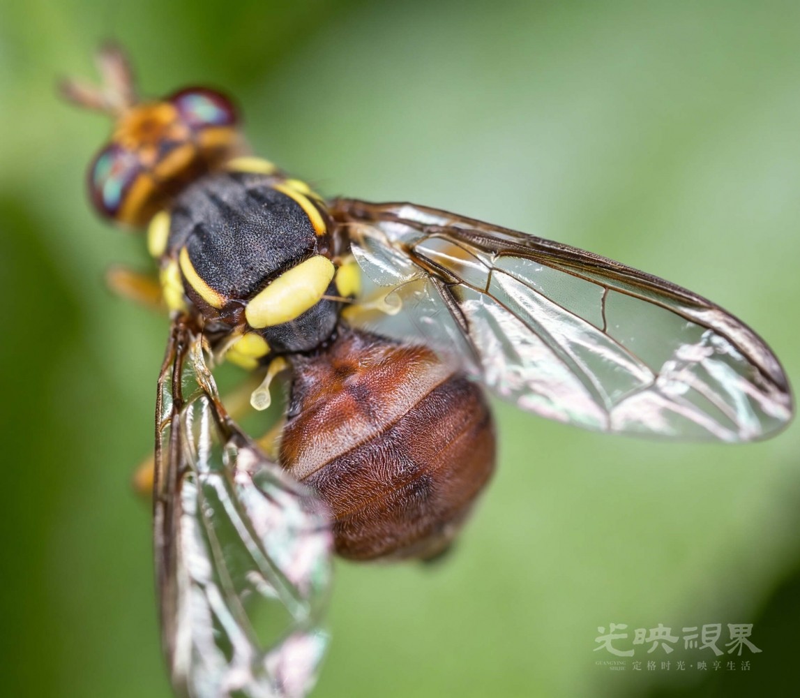 DX1_0690(1).jpg