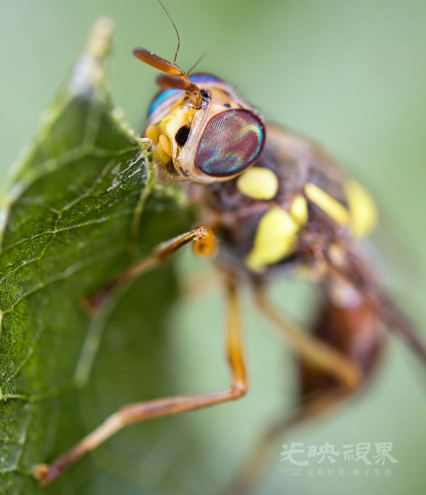 DX1_0750(1).jpg