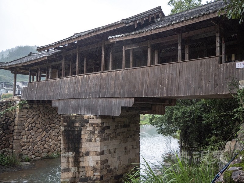 P1078641.jpg