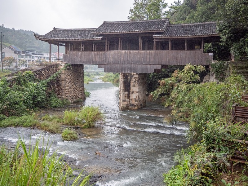 P1078640.jpg