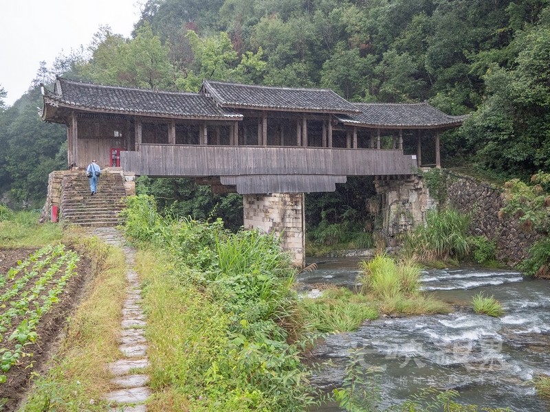 P1078646.jpg
