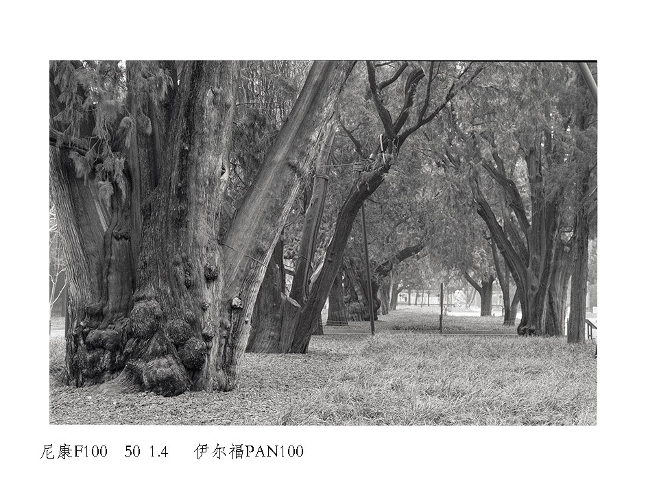 Untitled (36).jpg