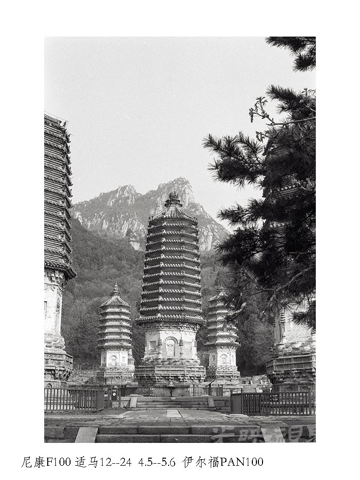 Untitled (12).jpg