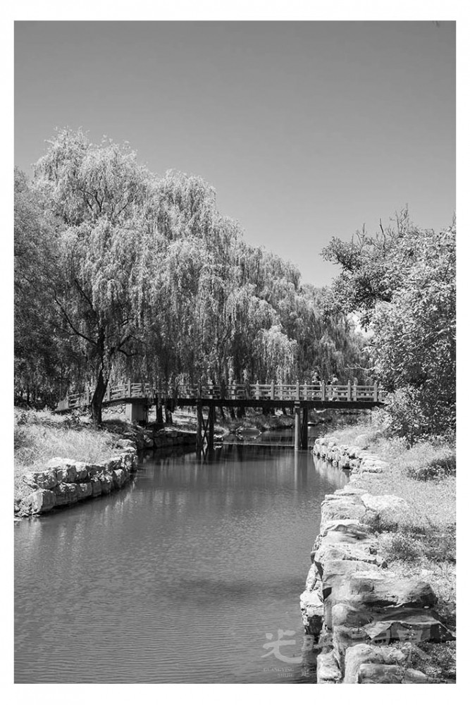 _DSC1201.jpg
