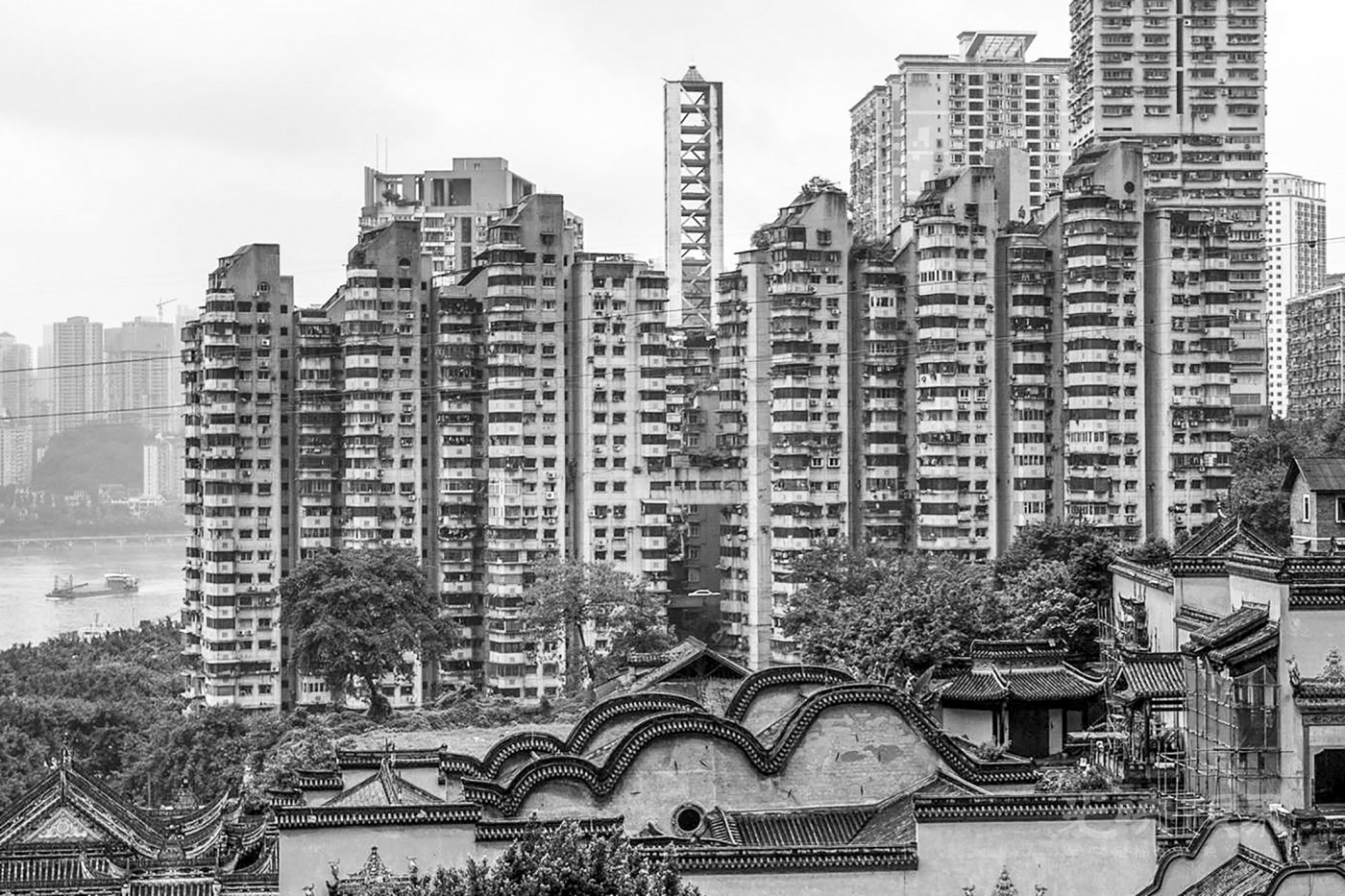 _DSC6701.JPG