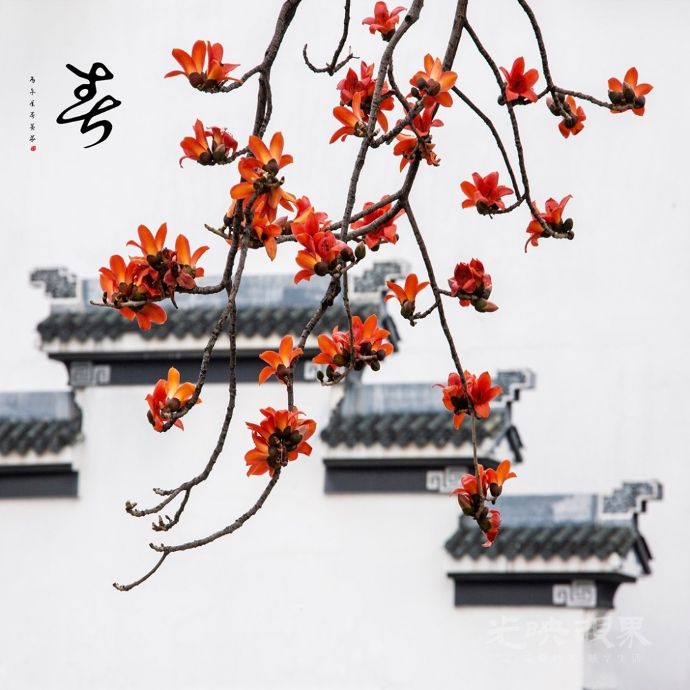 微信图片_20260303153100_173_311_副本.jpg