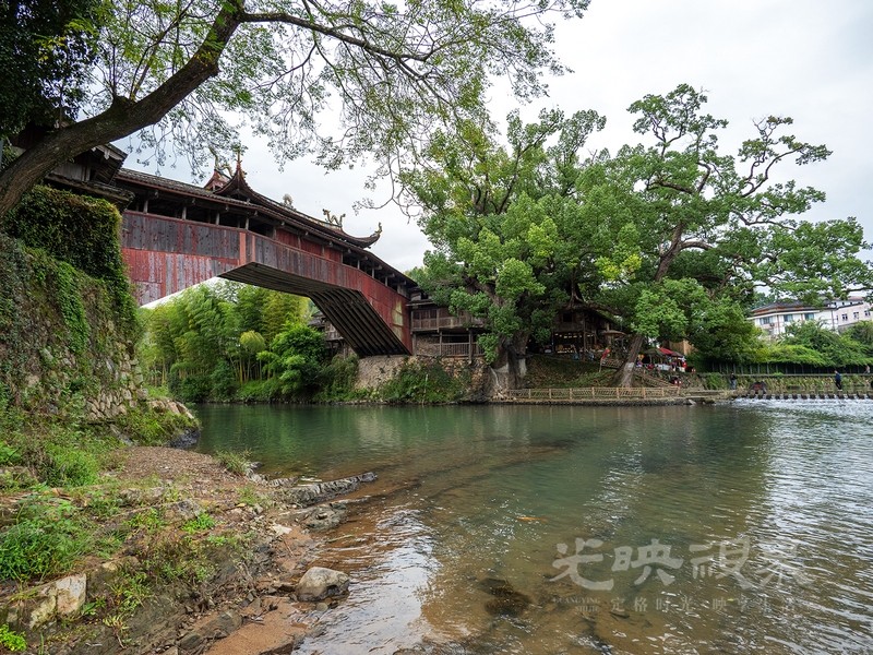 P1078654.jpg