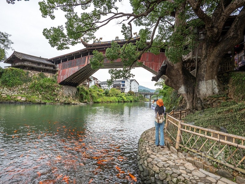 P1078673.jpg