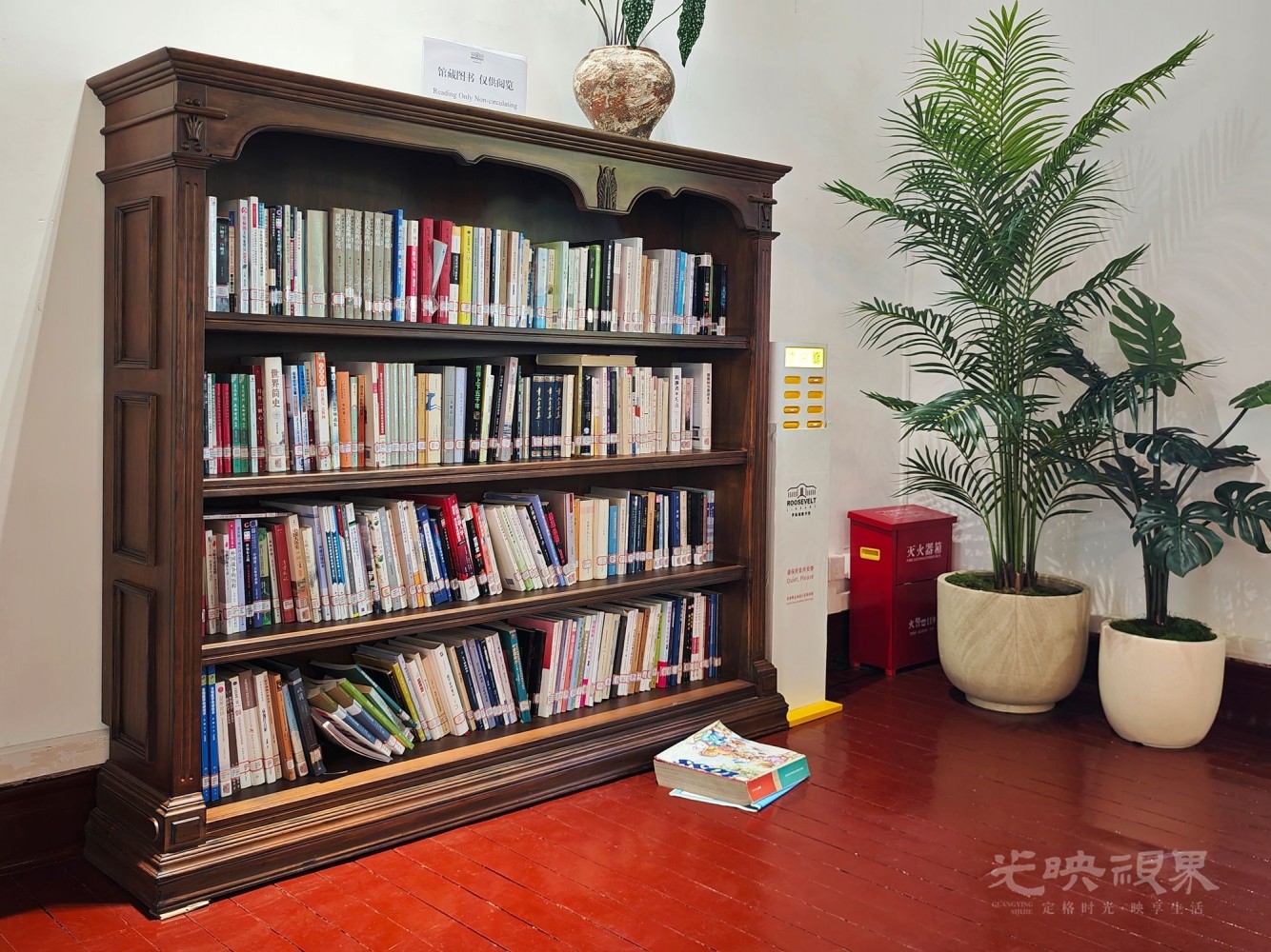 MVIMG_20260505_143147.jpg