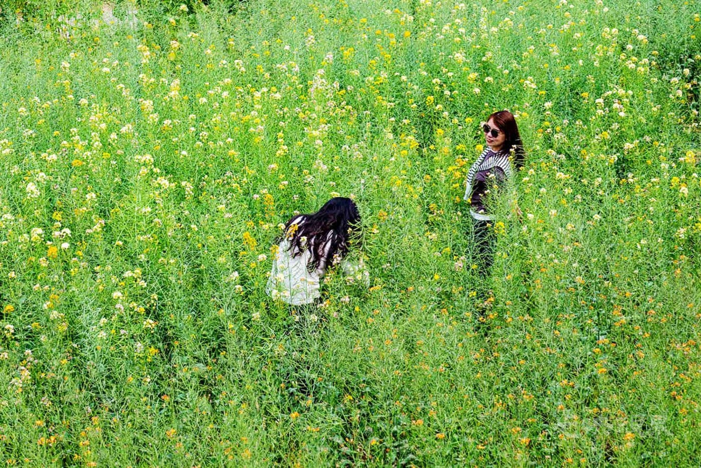 DSC_5845.JPG