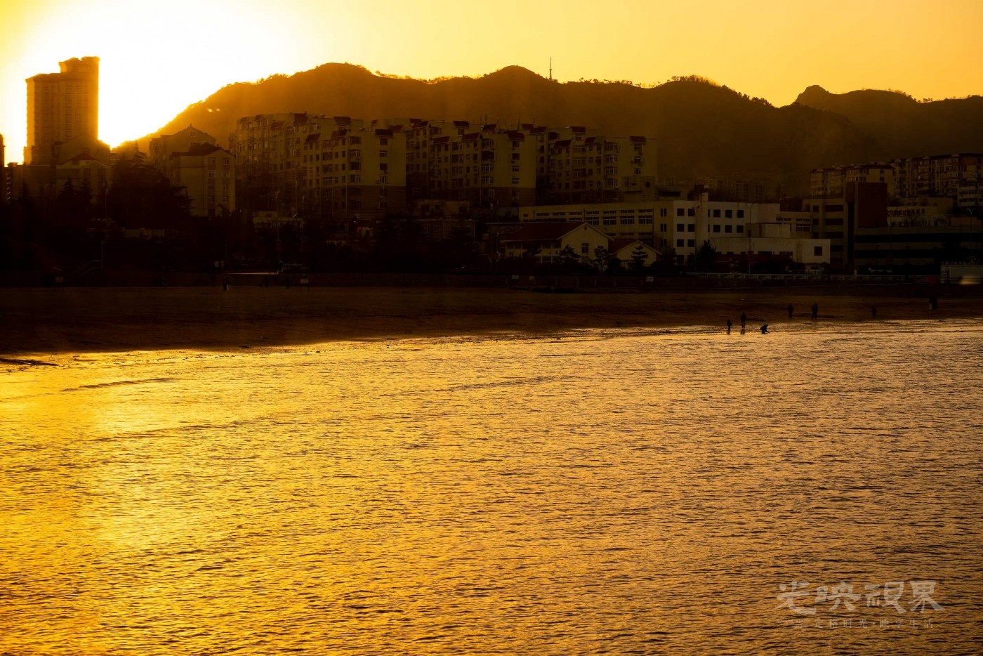 DSC_5018.JPG