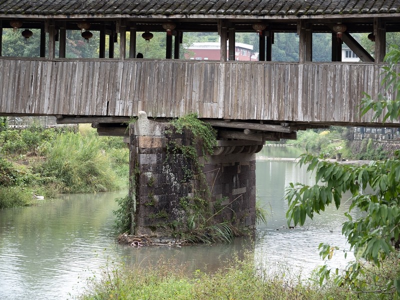 P1078733.jpg