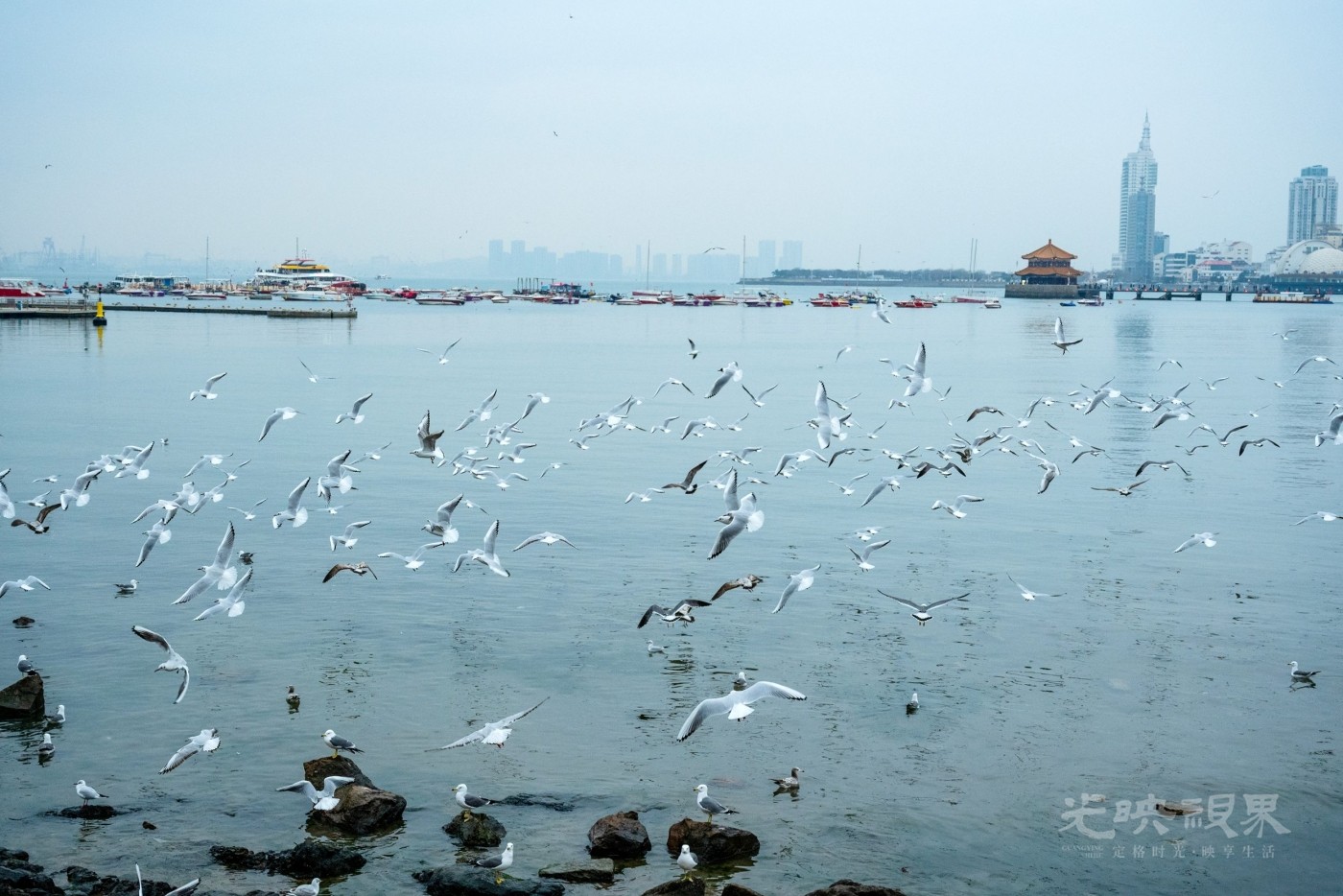 DSC_5734.JPG
