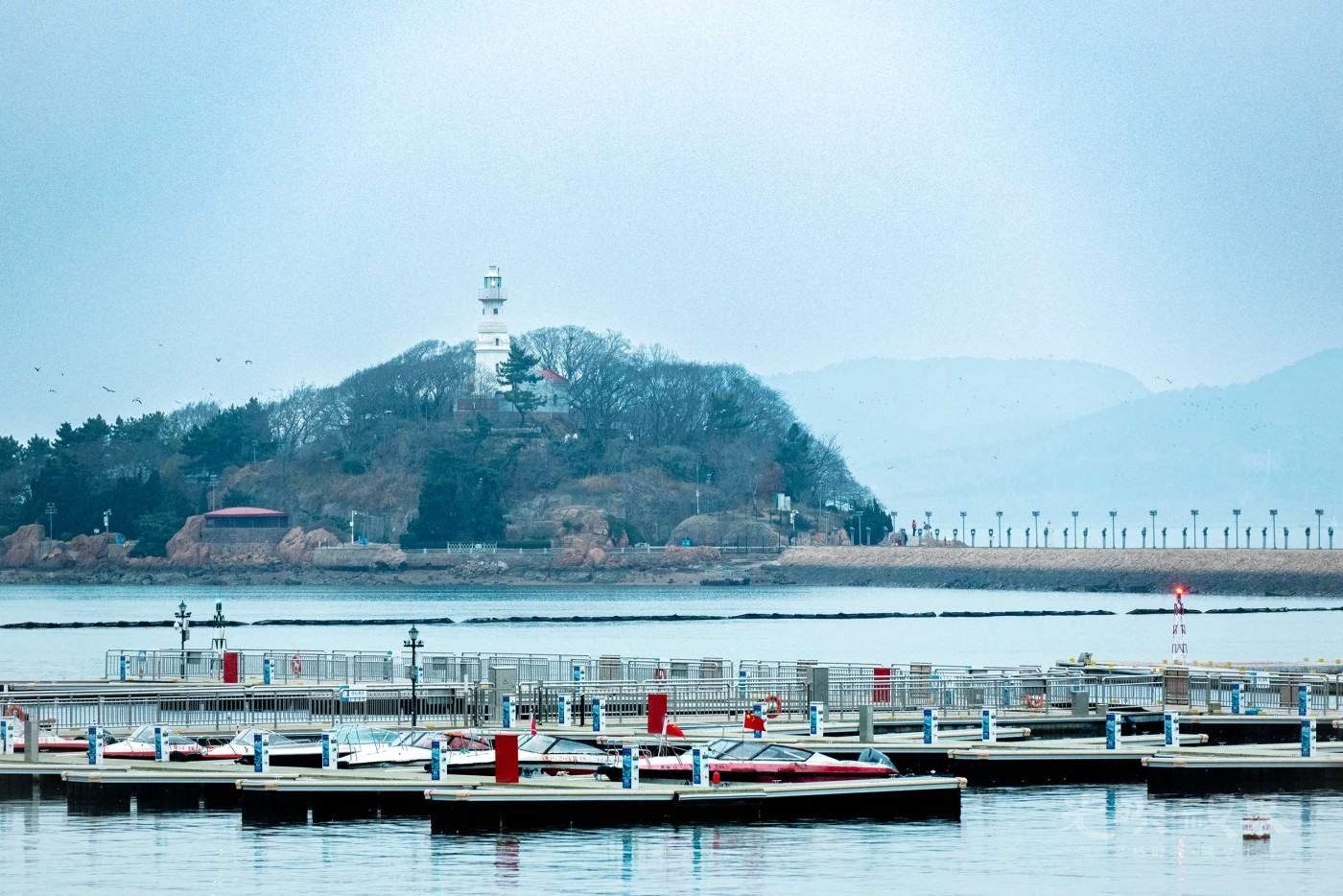DSC_5799.JPG