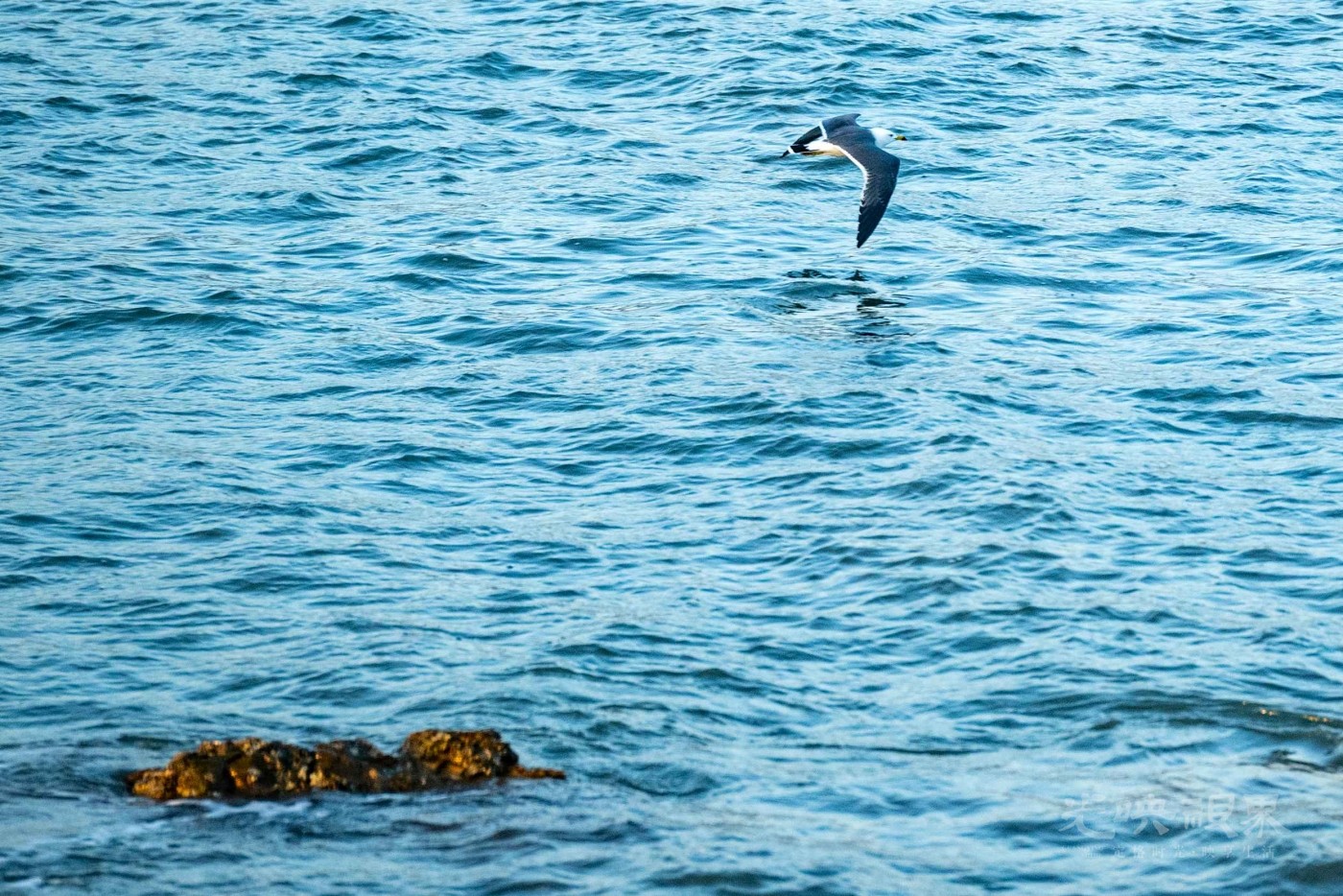 DSC_5203.JPG