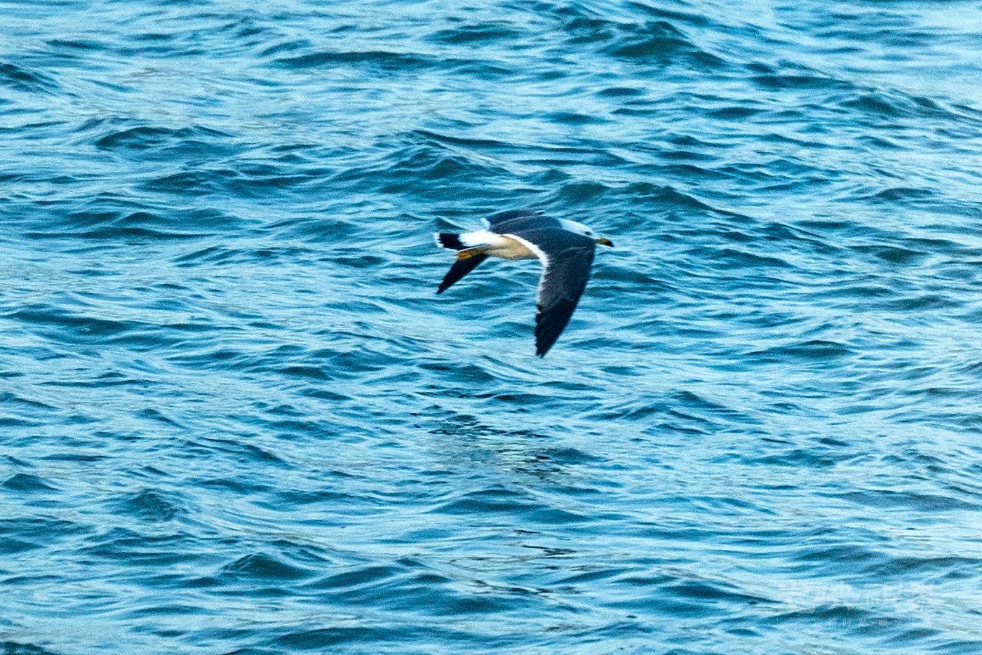 DSC_5202.JPG