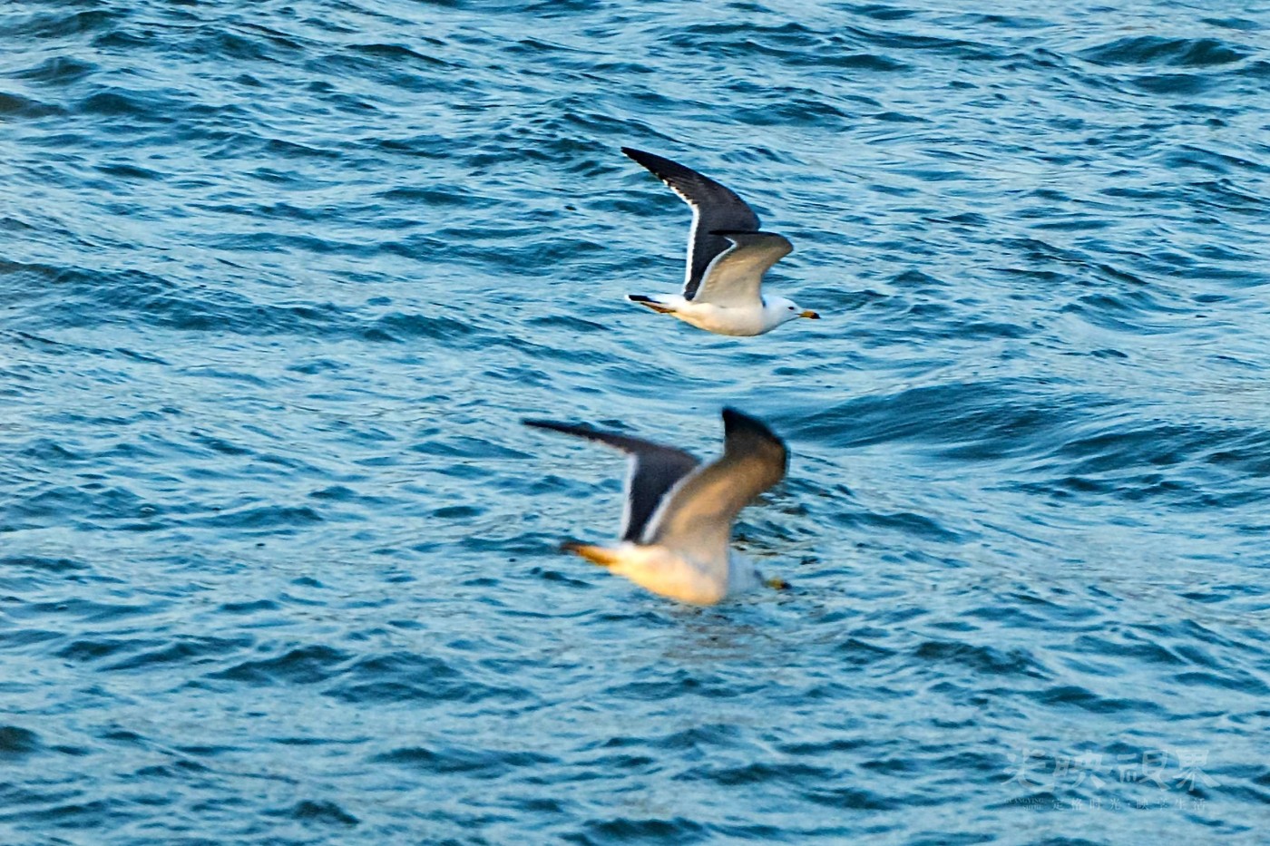 DSC_5204.JPG