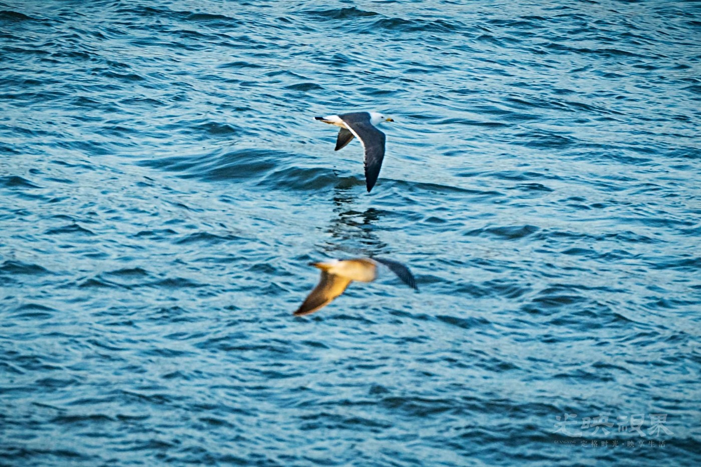 DSC_5205.JPG