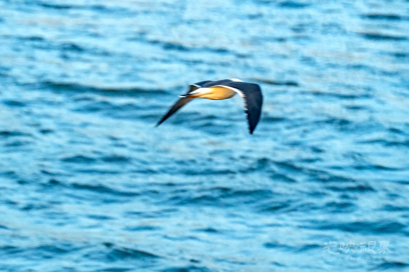 DSC_5206.JPG