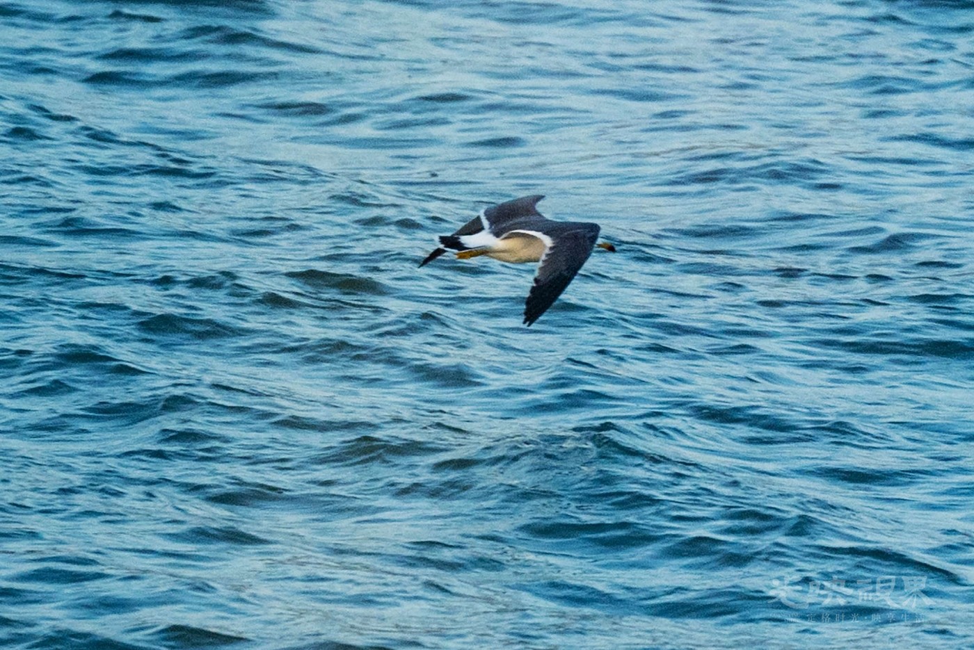 DSC_5207.JPG